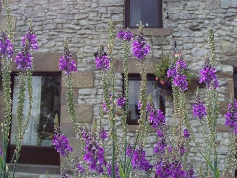 Old Coach House Matlock (Derbyshire) Exterior foto